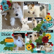 Dixie