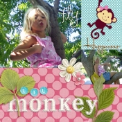 Lil Monkey