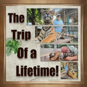 Trip of a Lifetime