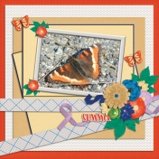 Milbert's Tortoiseshell butterfly