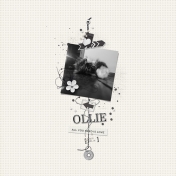 Ollie | August 2018