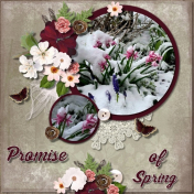 Promise of Spring