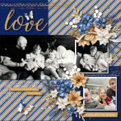Family Is Love