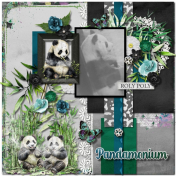 Panda Time