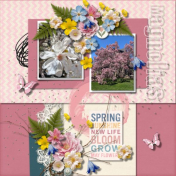 Spring Beauty