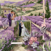 Wedding Day