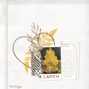12 days of fall 2024 day 3