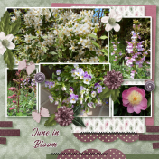 June in Bloom