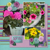 Spring Again