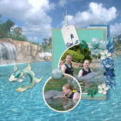 Discovery Cove