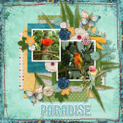 Paradise