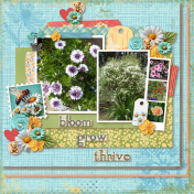Bloom Grow Thrive