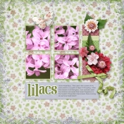 Lilacs 3