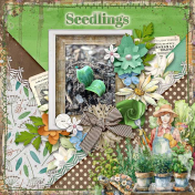 Seedlings