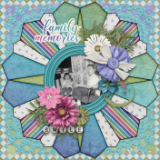 My Family Memories