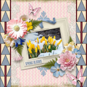 Yellow Spring Blooms