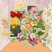 Springy Thing