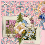 Springtime Flowers