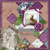 Hunny Bunny