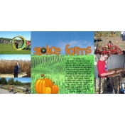 Pumpkin Farm