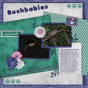 Bushbabies