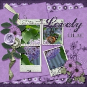 Lovely in Lilac