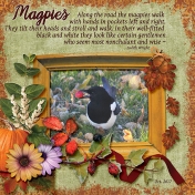 Magpies