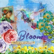 Bloom (remembering Spring)