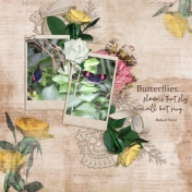 Butterflies (Rosy Posy)