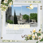 Avignon (Delicate Spring)