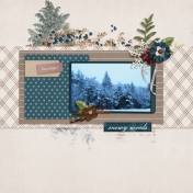 Snowy Woods (Rustic Wedding)