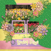 Spring Days (Pocket full of sunshine)