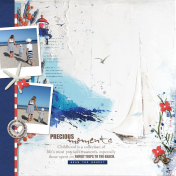 Precious Moments (An ocean of memories)