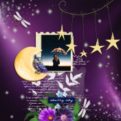 Starry Sky (Night Garden)