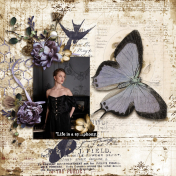 Life is a symphony (A Symphony of Moments)
