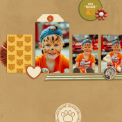 Say Roar (Travel Edition: Animals)