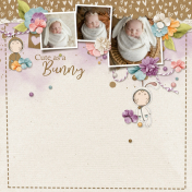 Cute as a bunny (Follow the Bunny)