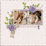 May memories (A Beautiful Story)