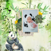 The cutest (Love Bamboo)