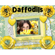 Daffodils