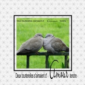 turtledoves in love