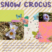 Snow Crocus