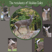 Residents of Hidden Oaks