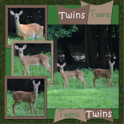 Fawns