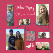 Willow Poppy