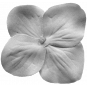 Silk Flower Template 007