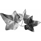 Leaf Template 008