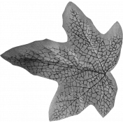 Leaf Template 031