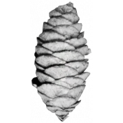 Pinecone Template 001