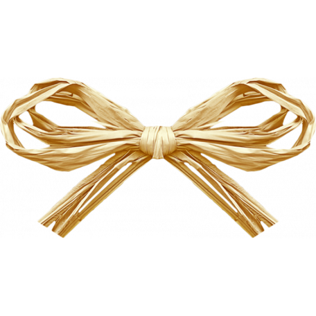 Beige Raffia Bow Stock Photo - Download Image Now - Raffia, Ribbon - Sewing  Item, Tied Bow - iStock